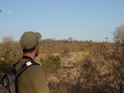 Wander Safari in Südafrika